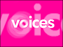 Voices logo