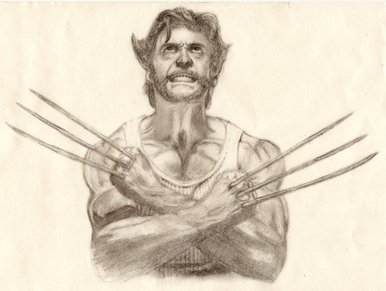 Wolverine