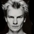 Sting