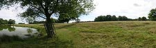 Bishop's Pond in Richmond Park