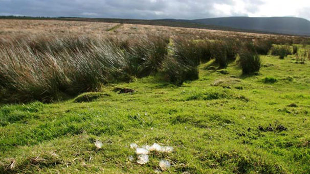A view of the Pentland Hills with some white jelly in the foreground