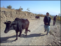 سرک