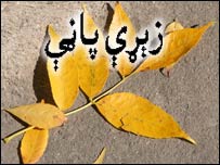 زيړه پاڼه