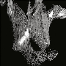 Review of Self Preserved While the Bodies Float Up