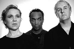 50 Foot Wave, copyright Lisa Fletcher, 2004