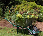 Wheelbarrow