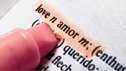 Dictionary Spanish ©Priganica, Fotolia.com