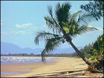 Tropical beach