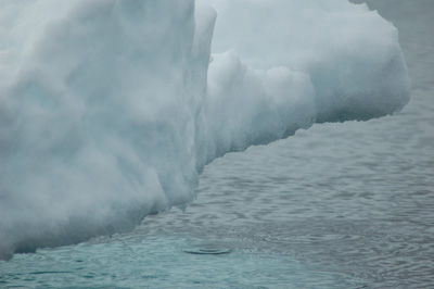 dripping-sea-ice.jpg
