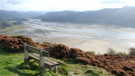 mawddach_estuary.jpg