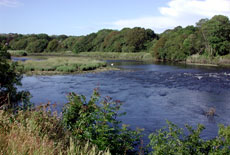 The Teifi river at Cilgerran