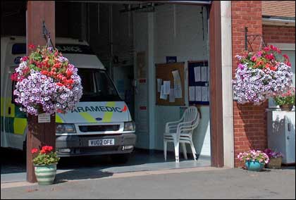 Ledbury in bloom by Christine Stibbards