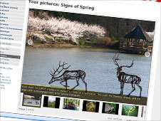 Your pictures of spring