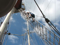 The Tall Ship