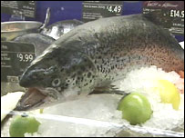 Salmon are in Decline