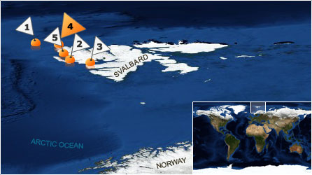 Dive map - Arctic Ocean - Site 4