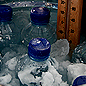 Bottles of mineral water are super cooled in a bucket of water, ice and salt