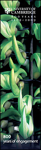 Cambridge 800 banner (copyright H Rice)