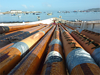 Gig Championships 2009