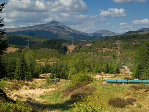Colour view showing a broken-down stone wall and a series of flat, green panels in an area of mixed scrub and conifers. A line of electricity pylons crosses the frame, with mountains behind
