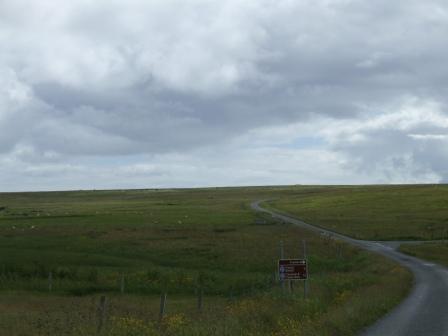 The main road