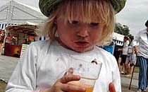 Cambridge Festival Diary