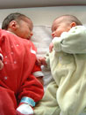 twins
