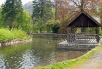 Parc Craig-y-nos