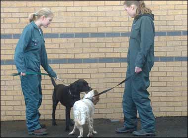 Students at Warwickshire College 