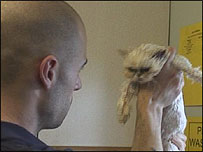 Inspecting an abandoned cat