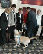 Drug dog