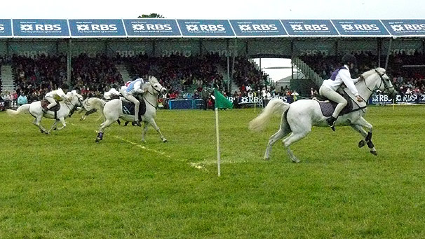 Pony club games at the Royal Highland Show