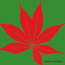 Review of Buckeye Review of Buckeye