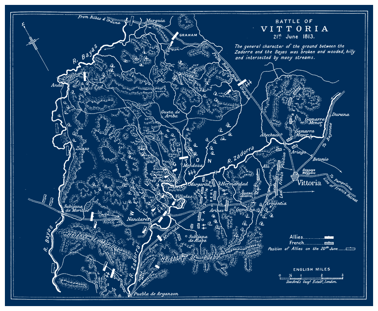 The Battle Of Vitoria map