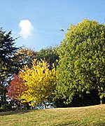 Autumn colours in Crystal Palace Park