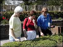Looking at plants in Lightburn Park