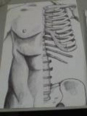 Half Skin And Half Bones