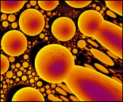 Micro-Cosmos by Paul Gunning