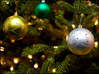 Find the perfect Christmas tree