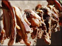 لاندی 