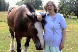 Ann feels that drivers don't understand what to do when they approach horses on the road.