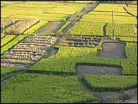 Hebei province, China