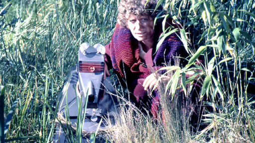 With the Doctor in Full Circle