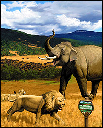 Ilustração da Universidade Cornell de leão e elefante numa pradaria americana