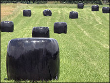 10_bales.jpg