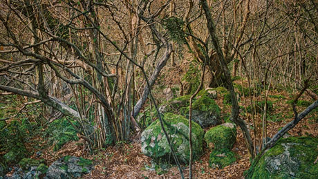 Image from Joanna Kirk's exhibition Miles To Go Before I Sleep - pastel on paper on board. Image courtesy the artist