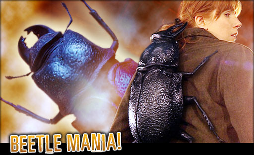 The Trickster's Brigade