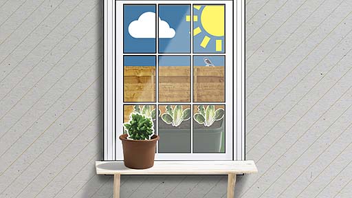 A pot of basil indoors, with salad leaves on the outside windowsill.