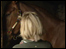 woman and horse