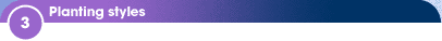 3 - Planting styles